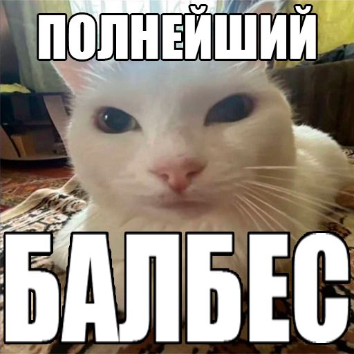 LOOKLOOK!!